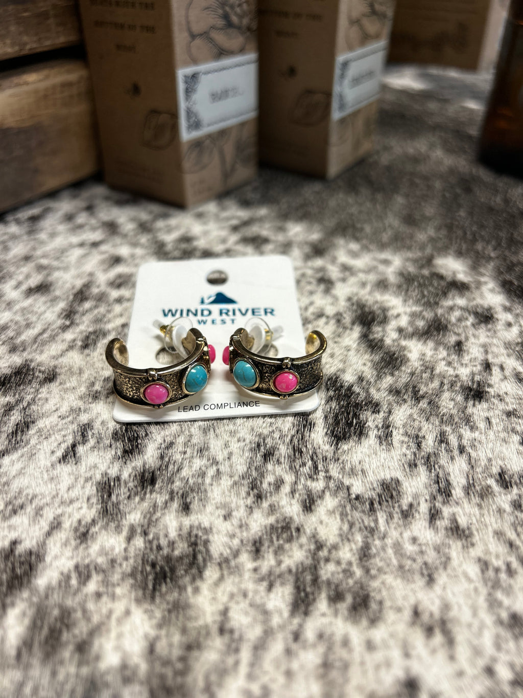 Western Round Stone Hoop Earrings
