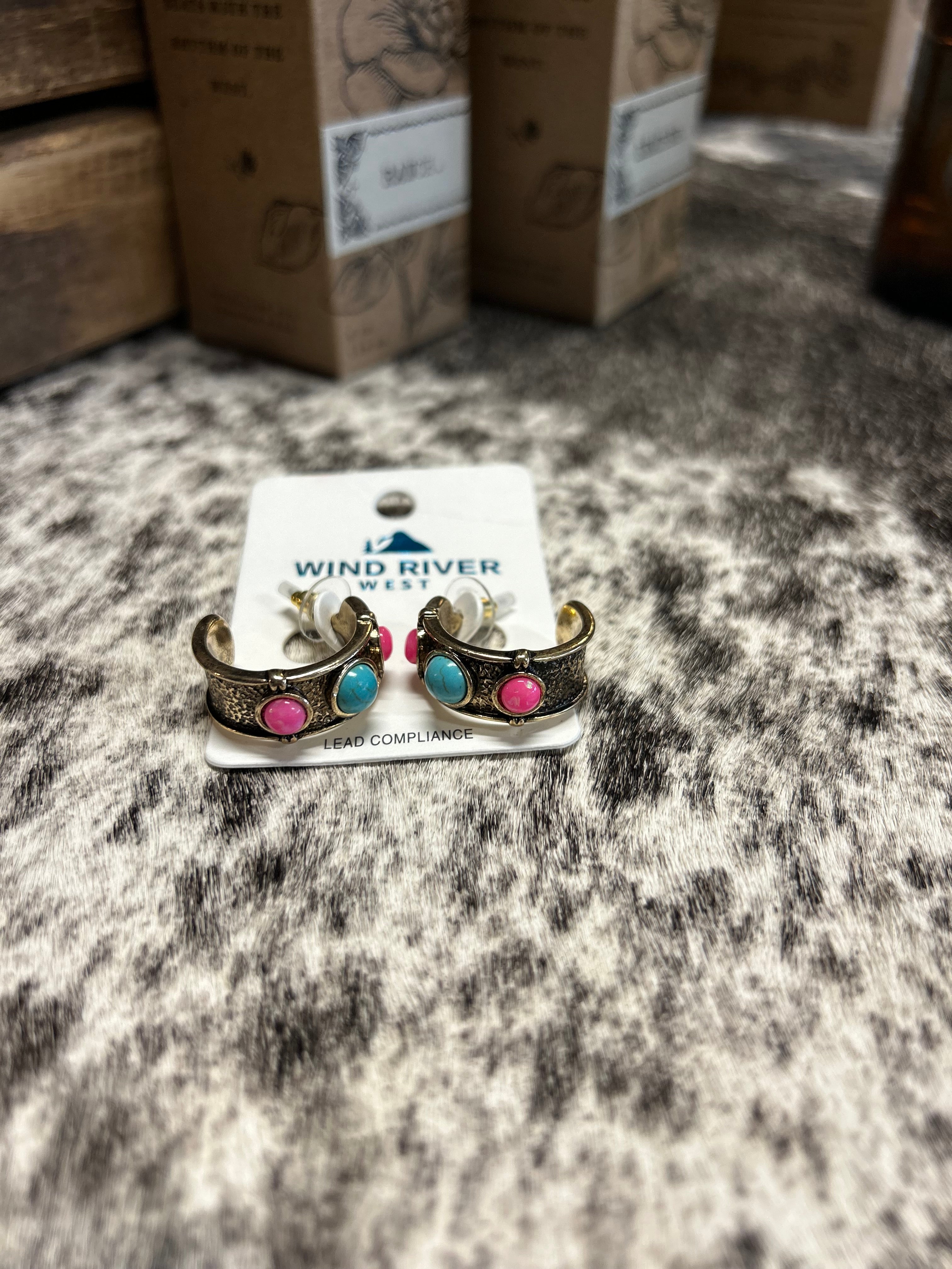 Western Round Stone Hoop Earrings