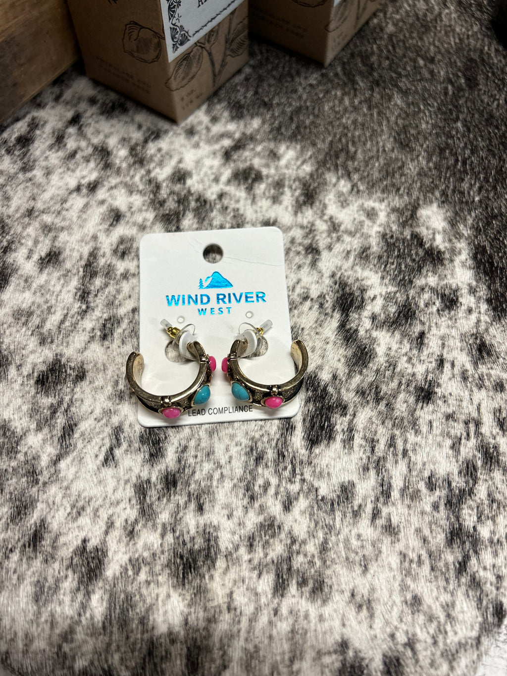Western Round Stone Hoop Earrings
