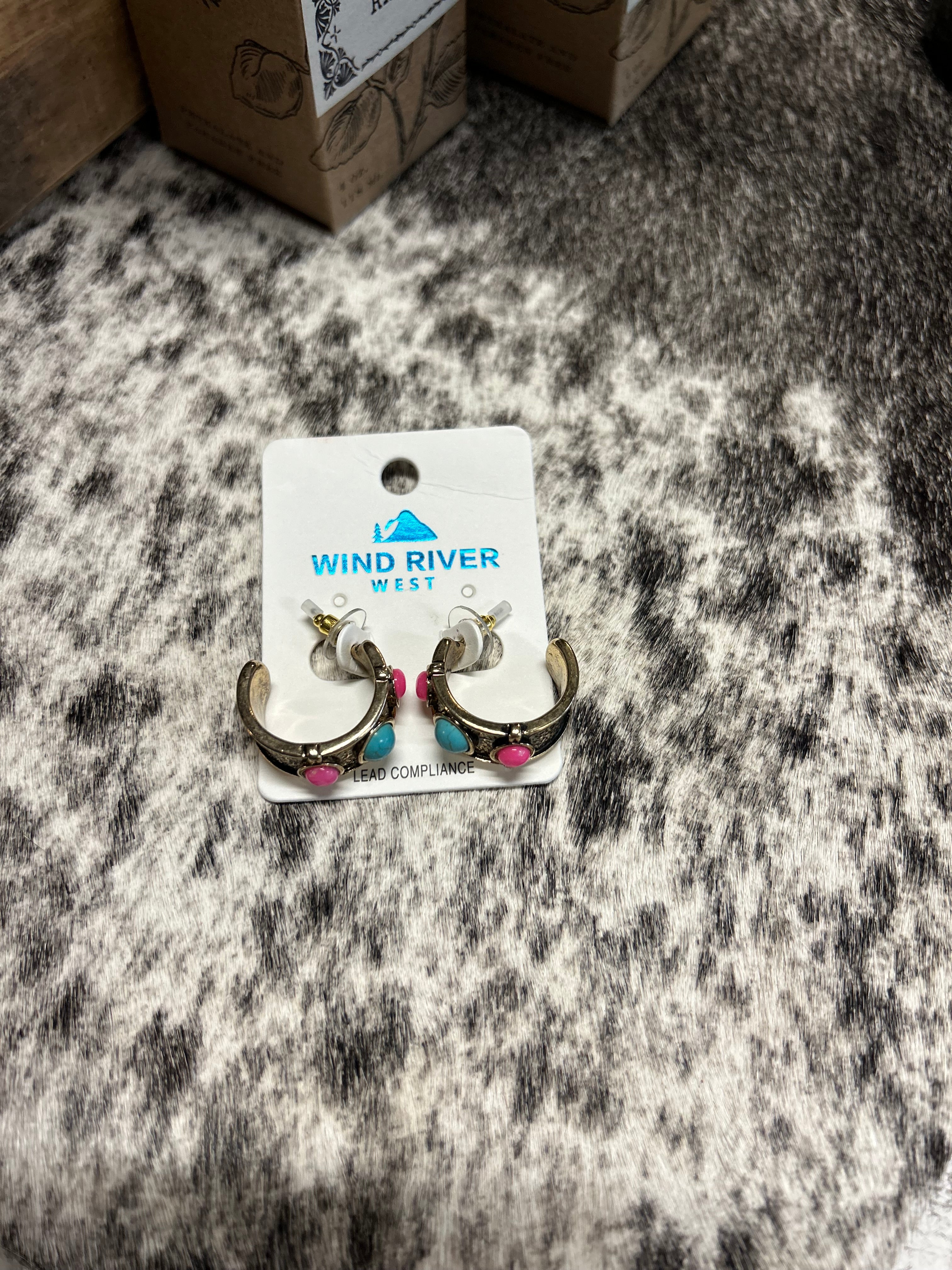 Western Round Stone Hoop Earrings