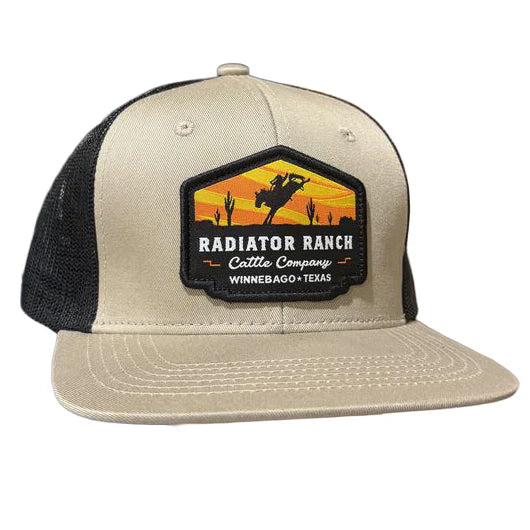 Dale Brisby Cattle Company Hat