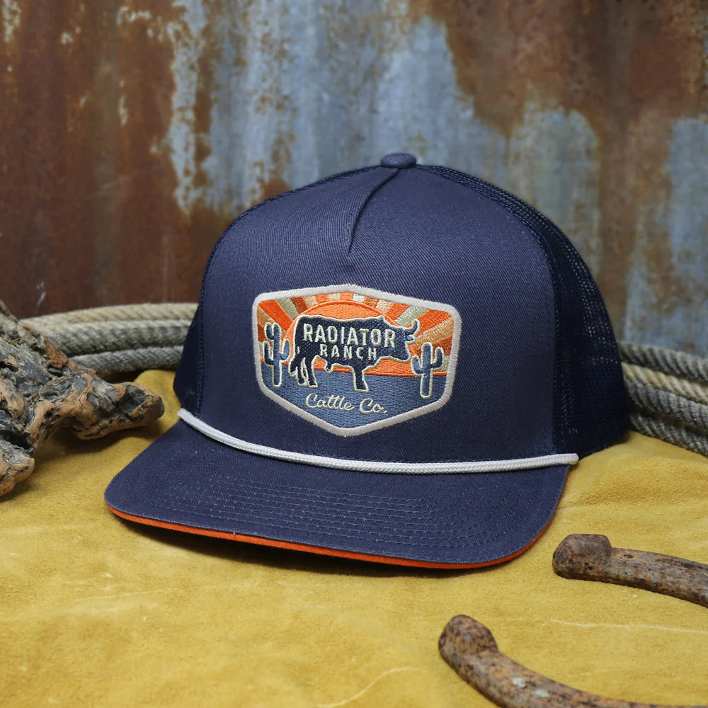 Pf Radiator Ranch Hat Dale Brisby Collection – The Pink Cactus Western Co.